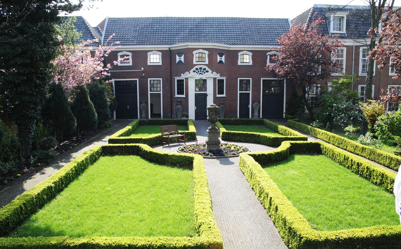 yard, landscaping, hedges