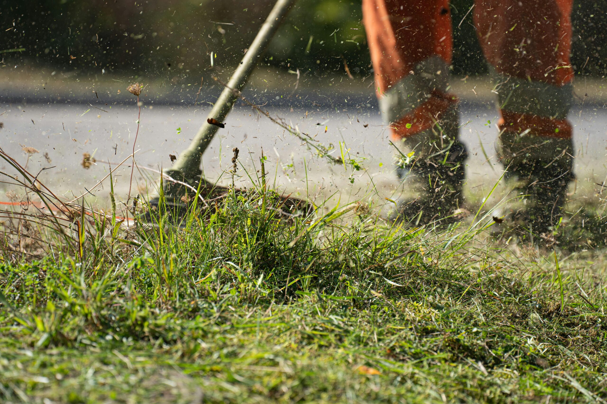 Close-up of a grass cutter trimming green grass with flying clippings outdoors.