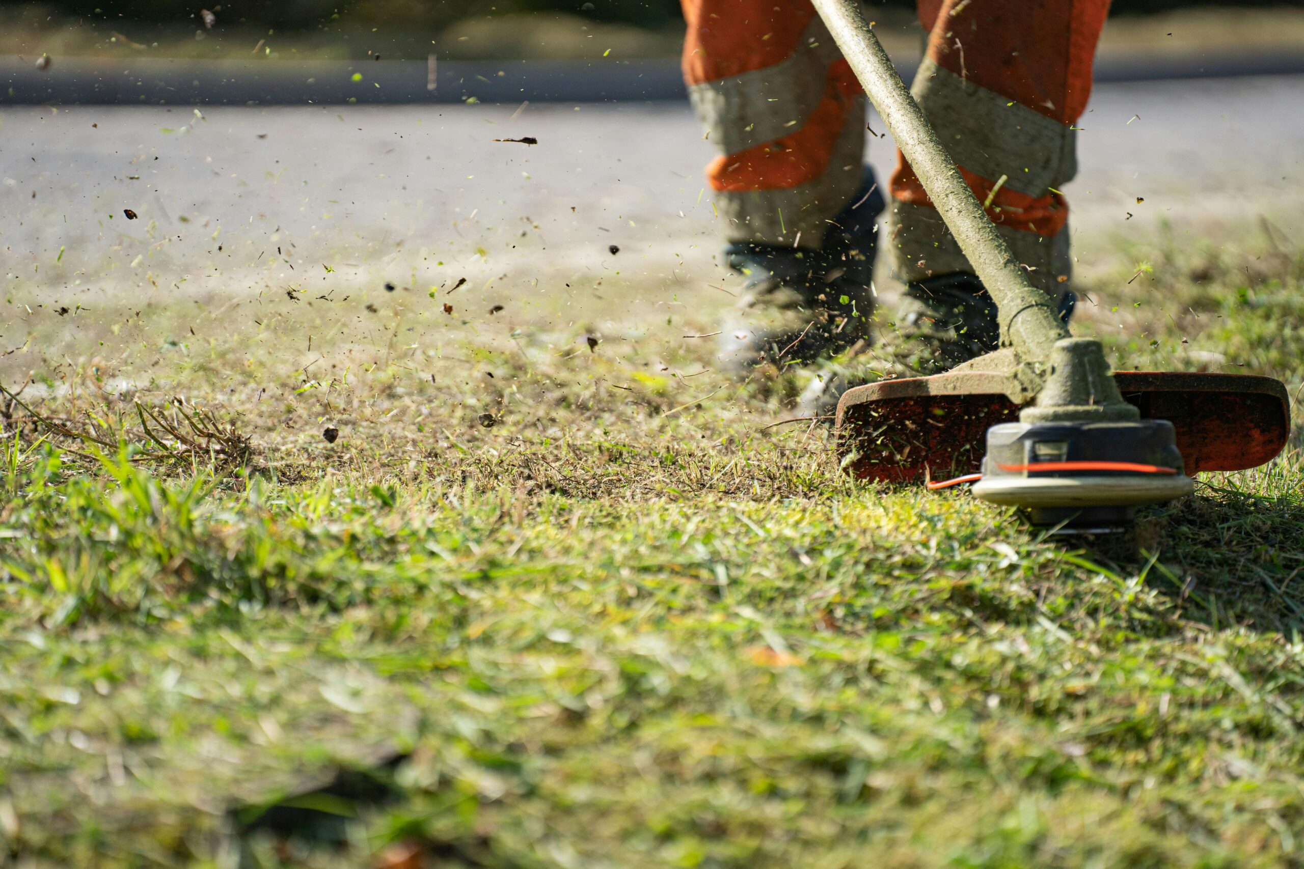 Close-up of a grass trimmer cutting lawn with grass clippings flying.