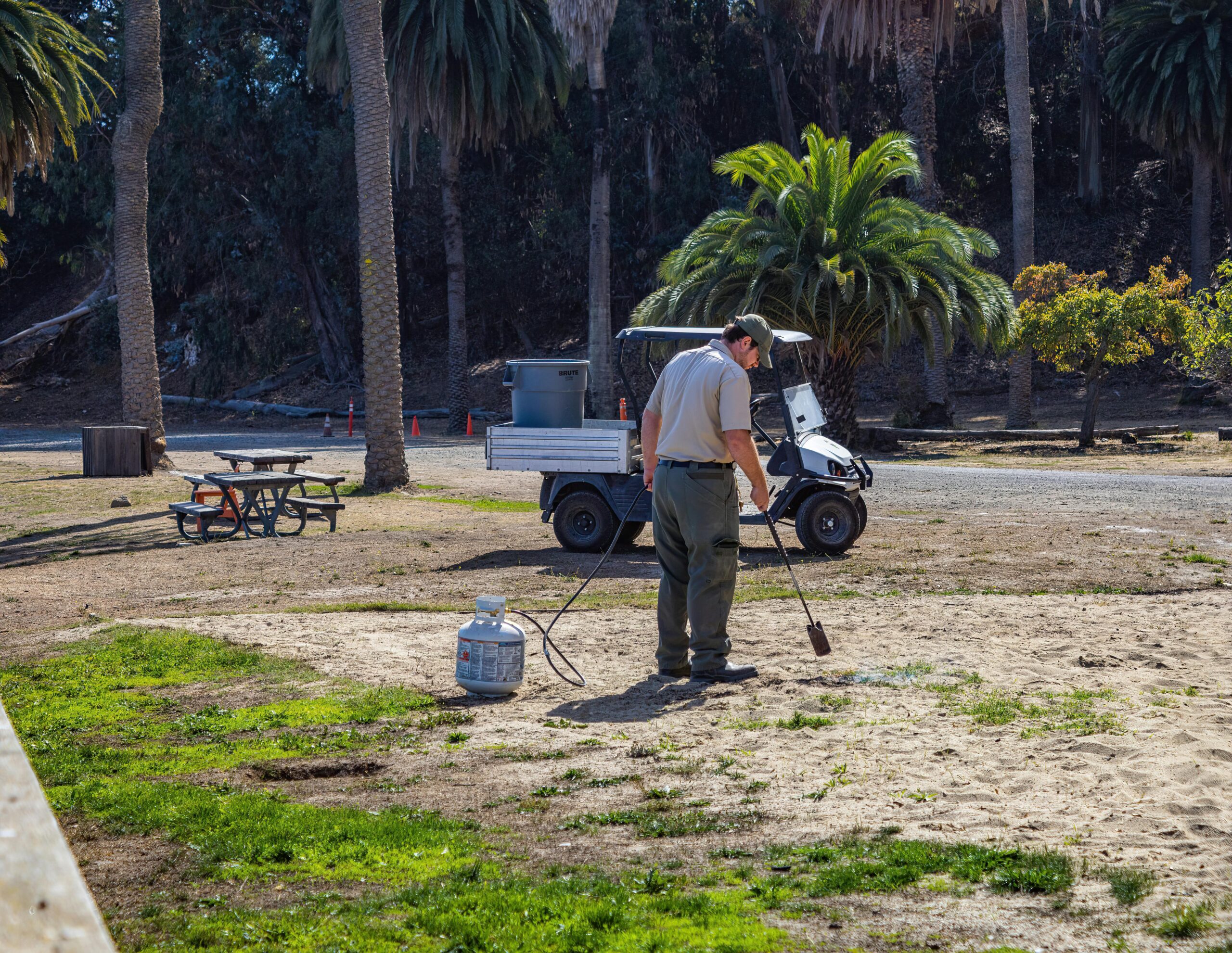 A worker using a gas torch to maintain a park area on a sunny day, surrounded by palm trees.