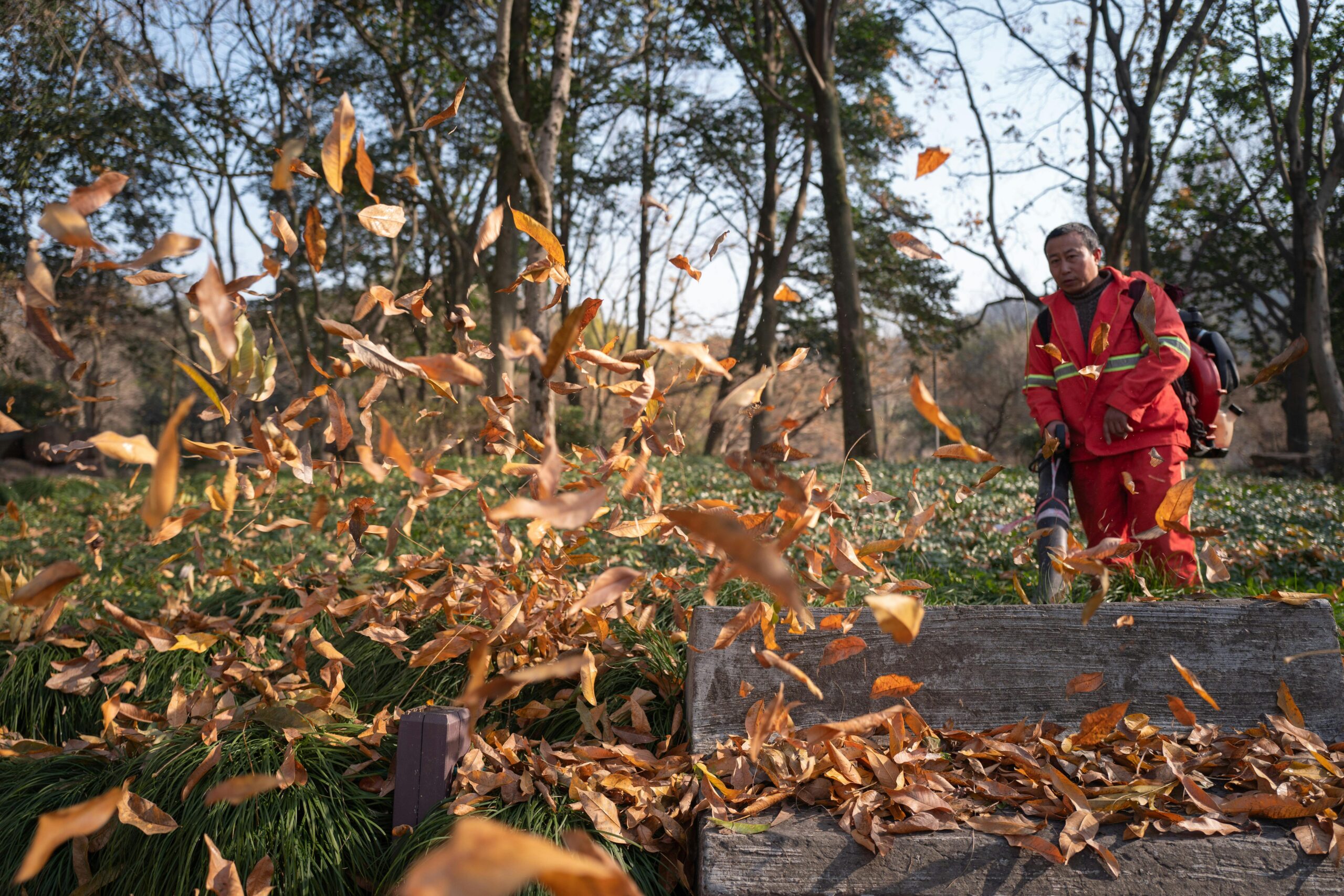 A worker clearing autumn leaves with a blower in a scenic park during fall.