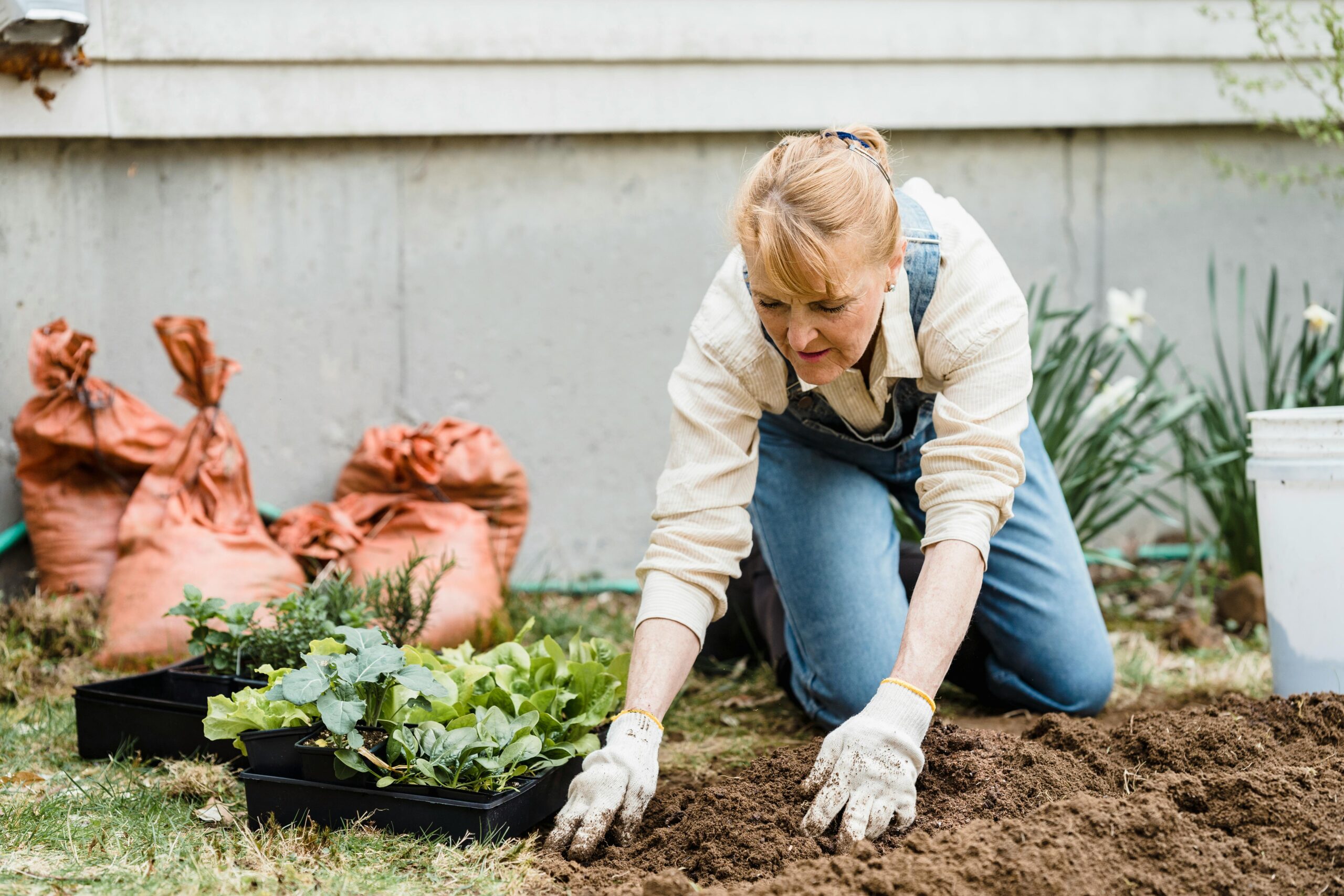 Senior woman kneeling in a garden, planting small plants in soil with protective gloves on.